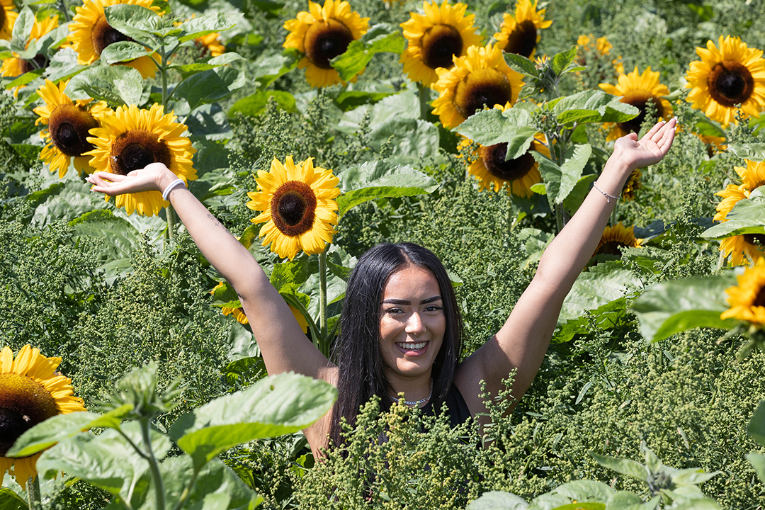 A girl with arms outstretched standing in a field surrounded by sunflowers